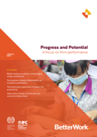 Progress and potential: a focus on firm performance
