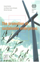 The promotion of sustainable enterprises
