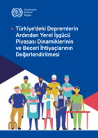 Assessing the local labour market dynamics and skills needs following the earthquakes in Türkiye