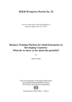 Business training markets for small enterprises in developing countries: what do we know so far about the potential?
