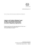 Labour and labour-related laws in micro and small enterprises: innovative regulatory approaches