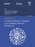 Plan de formación integral para una inspección del trabajo moderna y eficiente en Argentina: Módulo 11 La inspección del trabajo y las formas atípicas de empleo