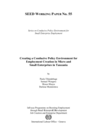 Creating a conducive policy environment for employment creation in micro and small enterprises in Tanzania