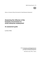 Assessing the influence of the business environment on small enterprise employment: an assessment guide