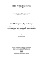 Small enterprises, big challenges: a literature review on the impact of the policy environment on the creation and improvement of jobs within small enterprises