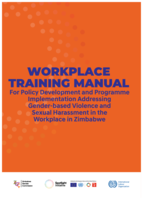 Workplace training manual: for policy development and programme implementation addressing gender-based violence and sexual harassment in the workplace in Zimbabwe