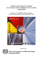 Statistics on investment in training: an assessment of their availability
