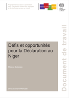 Défis et opportunités pour la Déclaration au Niger