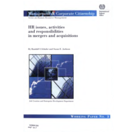 HR issues, activities and responsibilities in mergers and acquisitions