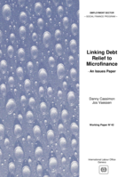 Linking debt relief to microfinance: an issues paper