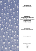 Assessing indebtedness: results from a pilot survey among steelworkers in São Paulo