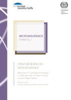 Literature review on microinsurance