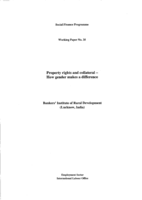 Property rights and collateral: how gender makes a difference