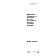 Institutional Assessment for NGOs and self-help Organisations Managing Guarantee schemes