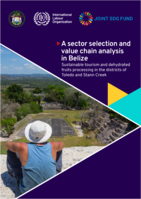 A sector selection and value chain analysis in Belize: sustainable tourism and dehydrated fruits processing in the districts of Toledo and Stann Creek