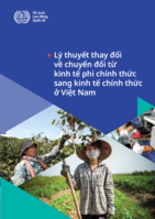 A theory of change for transitioning from the informal economy to the formal economy in Viet Nam