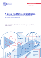 A global fund for social protection: lessons from the diverse experiences of global health, agriculture and climate funds