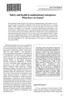 Safety and health in multinational enterprises: what have we learnt?