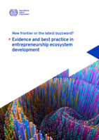 New frontier or the latest buzzword?: evidence and best practice in entrepreneurship ecosystem development