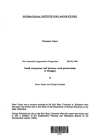 Small enterprises and business work partnerships in Hungary