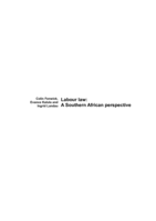 Labour law: A Southern African perspective