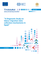 A diagnostic study on labour migration data collection mechanisms in Egypt