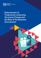 Determinants of productivity-enhancing structural change and the role of the business environment