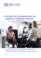 Inclusión de la discapacidad en las pequeñas y medianas empresas: análisis de una encuesta difundida entre las Redes Nacionales de Empresas y Discapacidad