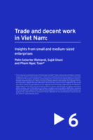 Trade and decent work in Viet Nam: insights from small and medium-sized enterprises
