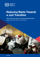 Reducing waste towards a just transition: work, labour, and value in the informal recycling chain, evidence from Adana, Türkiye