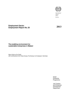 The enabling environment for sustainable enterprises in Malawi