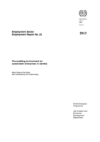 The enabling environment for sustainable enterprises in Zambia