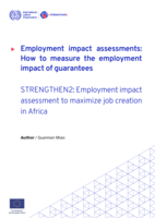 Employment impact assessments: how to measure the employment impact of guarantees : STRENGTHEN2 : employment impact assessment to maximise job creation in Africa