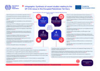 Synthesis of recent studies related to the social protection cash voucher assistance (SPCVA) nexus in the Occupied Palestinian Territory: summary report on findings and recommendations