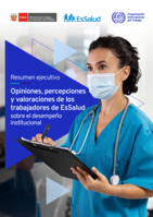 Opiniones, percepciones y valoraciones de los trabajadores de EsSalud sobre el desempeño institucional: resumen ejecutivo