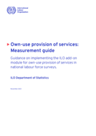 Own-use provision of services: measurement guide: guidance on implementing the ILO add-on module for own-use provision of services in national labour force surveys