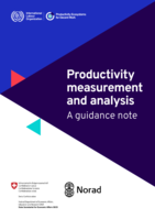 Productivity measurement and analysis: a guidance note