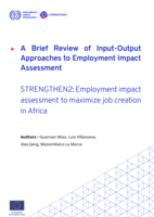 A brief review of input-output approaches to employment impact assessment: STRENGTHEN2 : employment impact assessment to maximise job creation in Africa