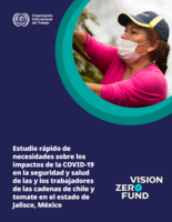 Estudio rápido de necesidades sobre los impactos de la COVID-19 en la seguridad y salud de las y los trabajadores de las cadenas de chile y tomate en el estado de Jalisco, México