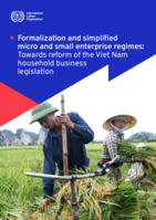Formalization and simplified micro and small enterprise regimes: towards reform of the Viet Nam household business legislation