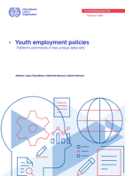 Youth employment policies: patterns and trends in two unique data sets