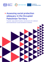 Assessing social protection adequacy in the occupied Palestinian territory: transfer value determination mechanisms for national and humanitarian social assistance schemes