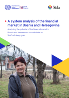 A system analysis of the financial market in Bosnia and Herzegovina: analysing the potential of the financial market in Bosnia and Herzegovina to contribute to Sida’s strategy goals