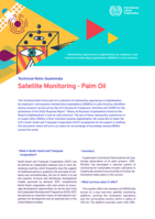 Satellite monitoring - palm oil: technical note: Guatemala