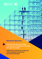 Profesionales de la seguridad y la salud en el trabajo en el ámbito del lugar de trabajo: resumen ejecutivo