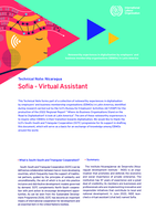 Sofia - virtual assistant: technical note: Nicaragua