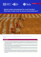 Market systems development for a just transition: what does it really mean for donors and practitioners?