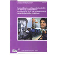 Les meilleures pratiques de flexibilité du travail et leur incidence sur la qualité de la vie professionnelle dans les industries chimiques: rapport soumis aux fins de discussion à la Réunion tripartite sur les meilleures pratiques de flexibilité du travail et leur incidence sur la qualité de la vie professionnelle dans les industries chimiques