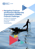 Navigating employer and business membership organizations (EBMOs) financial challenges: analysis of strategies to enhance EBMOs financial sustainability