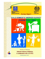 Child domestic worker survey